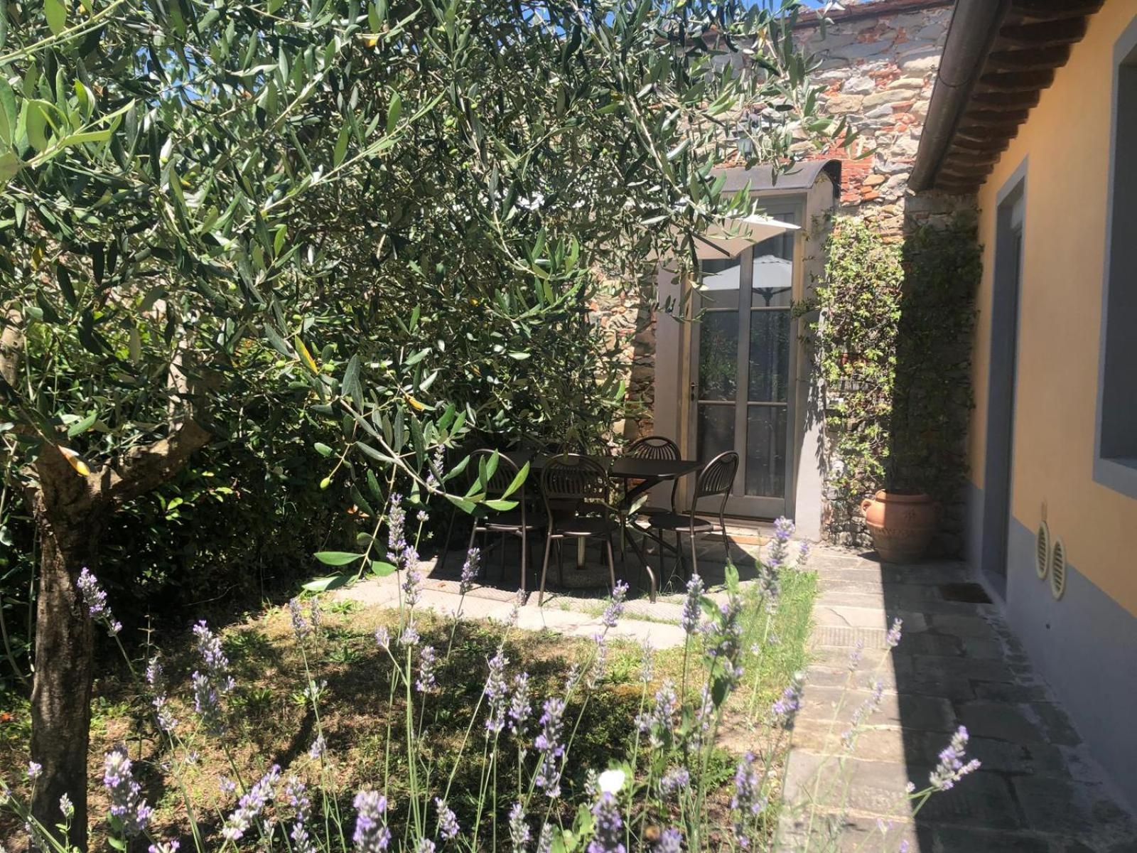 לוקה Tenuta Guinigi Antico Borgo Di Matraia - Exclusive Holidays Apartments & Pool מראה חיצוני תמונה